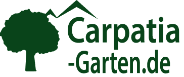 Honigpfirsich – MINIATUR: Warum man ihn pflanzen sollte und welche gesundheitlichen Vorteile er bietet